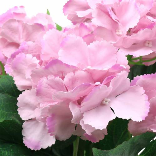 Floristik24 Krukhortensia Artificiell Rosa 35cm