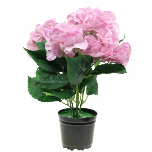 Floristik24 Krukhortensia Artificiell Rosa 35cm