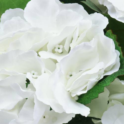 Floristik24 Hortensia i en blomkruka Artificiell vit 35cm