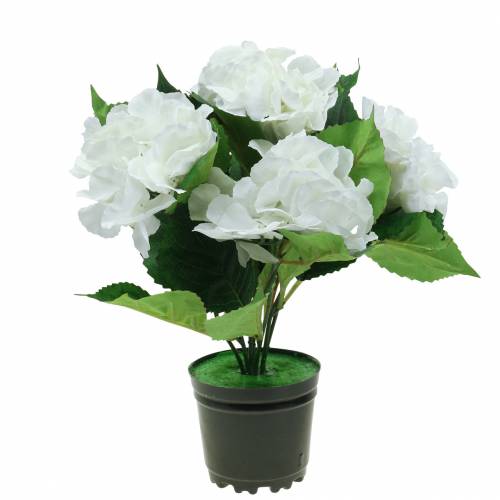 Floristik24 Hortensia i en blomkruka Artificiell vit 35cm