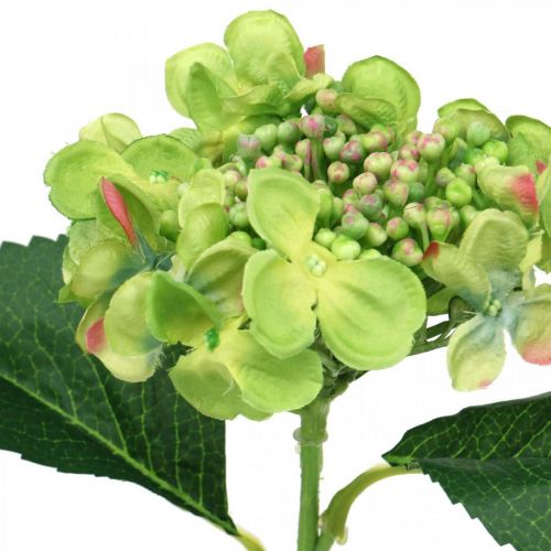 Artikel Konstgjord hortensia, blomsterdekoration, sidenblomma grön L44cm
