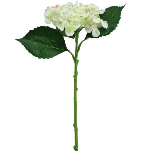 Artikel Hortensia, sidenblomma, konstgjord blomma för bordsdekorationer vit, grön L44cm