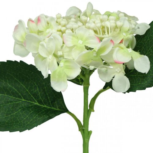Artikel Hortensia, sidenblomma, konstgjord blomma för bordsdekorationer vit, grön L44cm