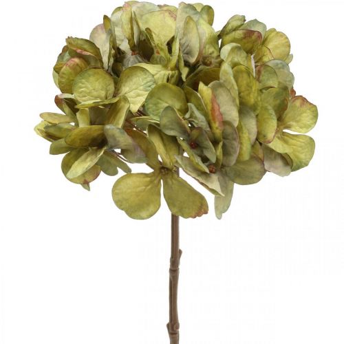 Floristik24 Hortensia konstgjord grön konstgjord blomma 64cm