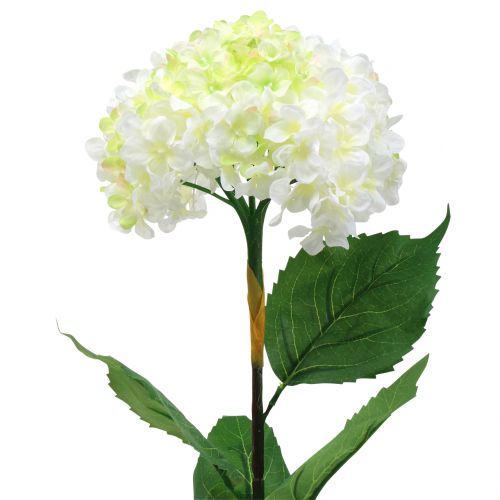 Floristik24 Hortensia vit konstgjord 80 cm