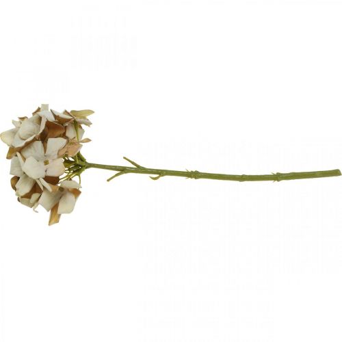 Floristik24 Hortensia konstblomma brun, vit höstdekoration sidenblomma H32cm
