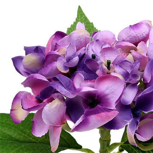 Floristik24 Hortensia lila 33cm 1st