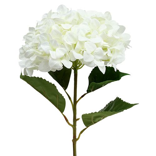 Floristik24 Hortensia Maxi Vit Ø30cm L113cm