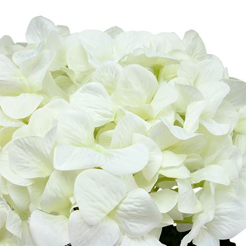 Floristik24 Hortensia Maxi Vit Ø30cm L113cm