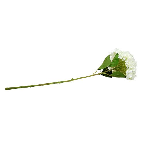 Floristik24 Hortensia Maxi Vit Ø30cm L113cm