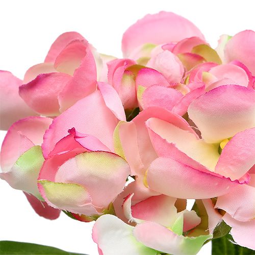 Floristik24 Hortensia rosa 33cm