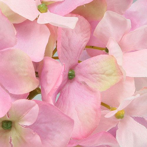 Floristik24 Hortensia rosa 68 cm