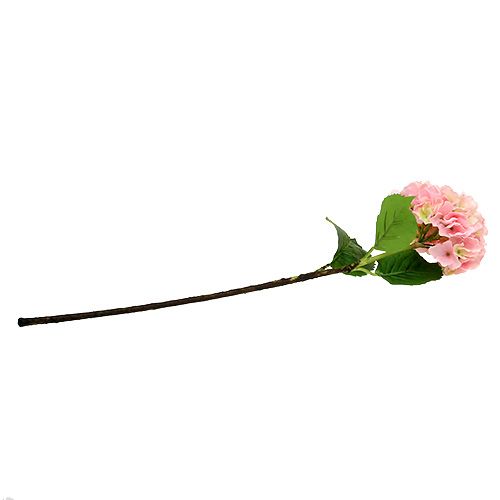 Floristik24 Hortensia rosa L 70cm