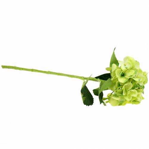 Floristik24 Hortensia grön 54cm