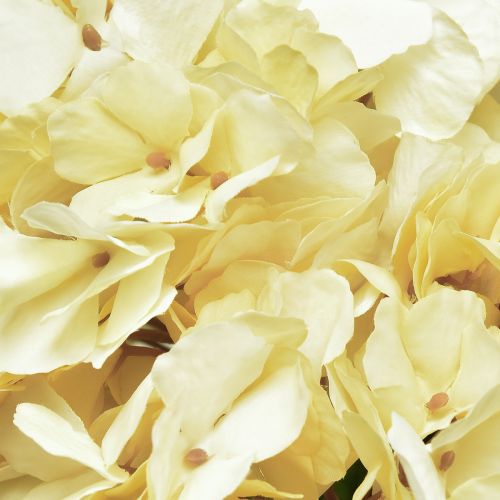 Floristik24 Hortensia bukett konstgjorda blommor gul 5 blommor 48cm