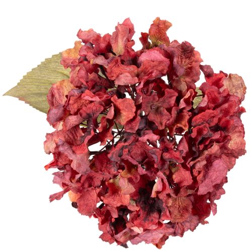 Konstgjord hortensiablommande gren, stor blomma, 74 cm | Floristik24.se