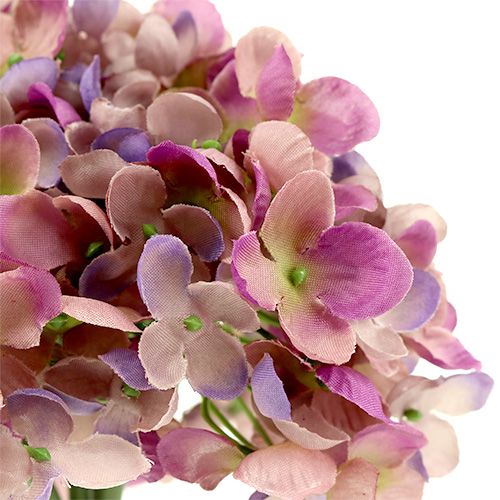 Floristik24 Hydrangea grupp L25cm violet