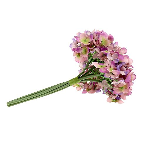 Floristik24 Hydrangea grupp L25cm violet