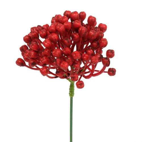 Floristik24 Hydrangea bud pick 22cm röd 12st
