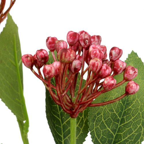 Floristik24 Hortensia knopp gren 55cm rosa 6st