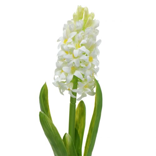 Floristik24 Hyacinth Real-Touch Vit 40cm
