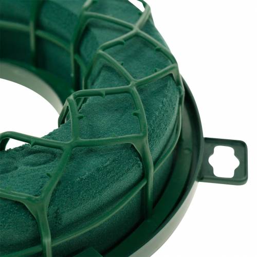 Artikel OASIS® IDEAL Universalring Blommig skumkrans Grön H4cm Ø18,5cm 5 st