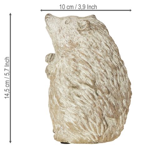 Floristik24 Höstdekorationsfigur igelkott i gjuten sten, vitkalkad, H14,5 cm