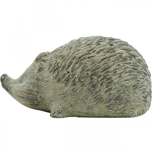 Floristik24 Dekorativ figur igelkott 22cm trädgårdsdekoration höst antik grön 20 × 12 × H10cm