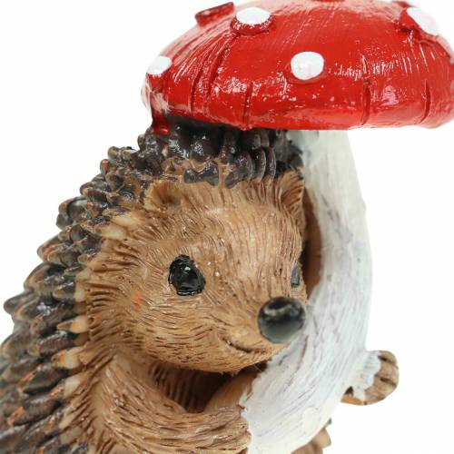 Floristik24 Höstfigurfigur igelkott med svamp H7cm 6st