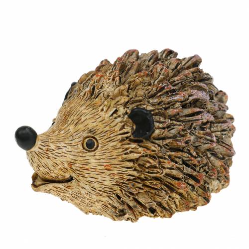 Floristik24 Dekorativt igelkott natur 6,5 cm