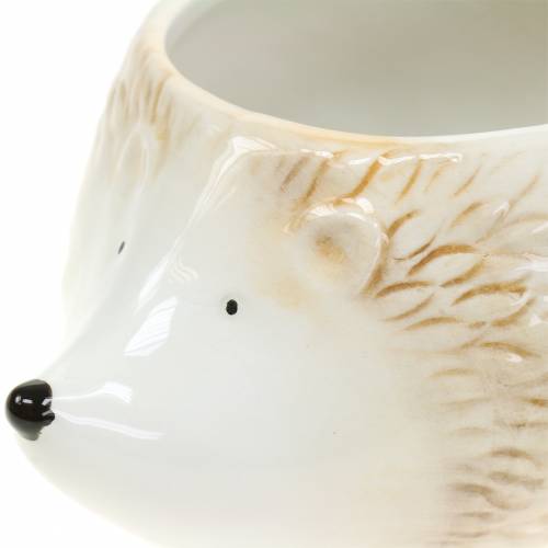 Floristik24 Växtkruka igelkott keramisk kräm 14cm x 11cm H9cm 4st