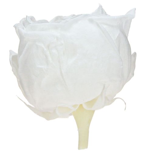 Artikel Infinity Roses Äkta Konserverade Roshuvuden Vita Ø6cm 6 st