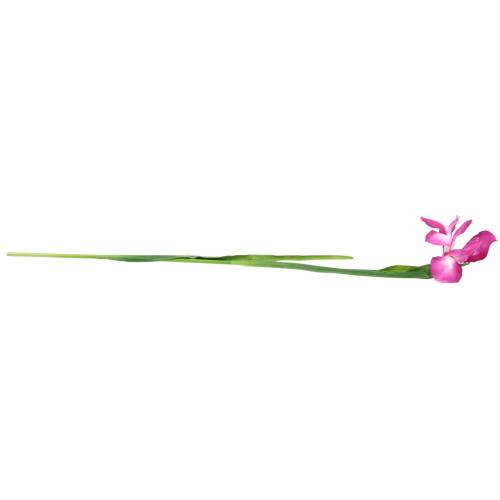 Artikel Iris konstgjord rosa 78cm