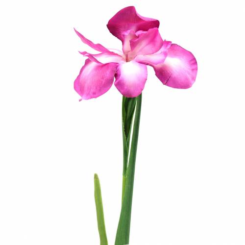 Artikel Iris konstgjord rosa 78cm
