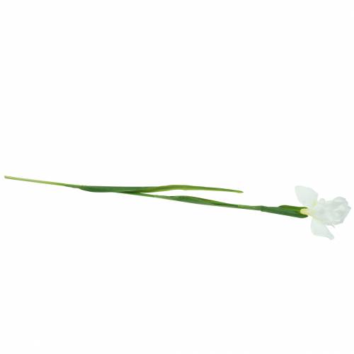 Floristik24 Iris konstgjord vit 78cm