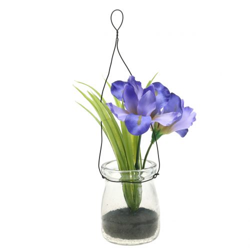Floristik24 Iris lila i ett glas för att hänga H21,5cm