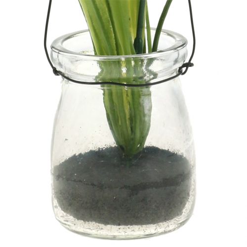 Artikel Iris lila i ett glas för att hänga H21,5cm