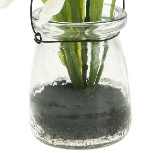 Floristik24 Iris vit i ett glas för att hänga H21,5cm