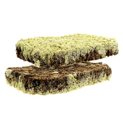 Floristik24 Moss Island moss Finsk Extra Polar 2 paneler