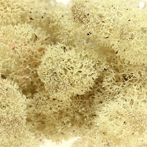 Renmossa natur 400g