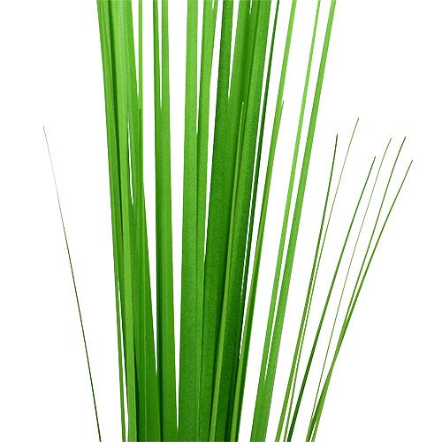 Artikel Isolepsisgrass ljusgrön 85cm 1p