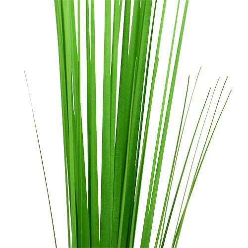 Floristik24 Isolepsisgrass ljusgrön 85cm 1p