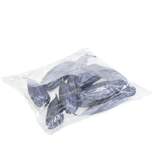 Floristik24 Luffa Fruktviol 14cm – 20cm 10 st