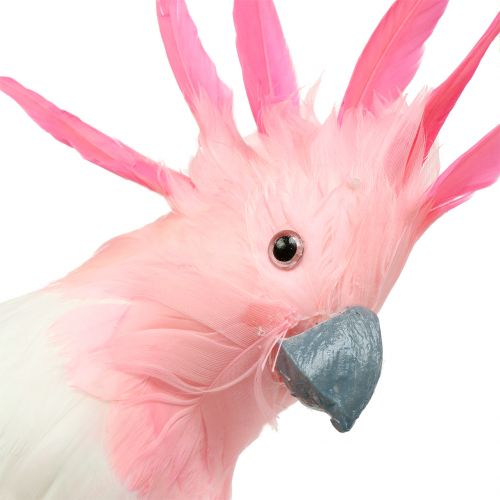 Floristik24 Dekorativ cockatoo pink 32cm