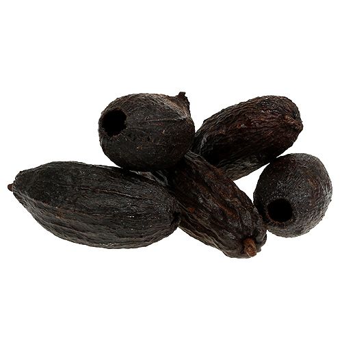 Floristik24 Kakaopodlar naturliga 10-18cm 15st