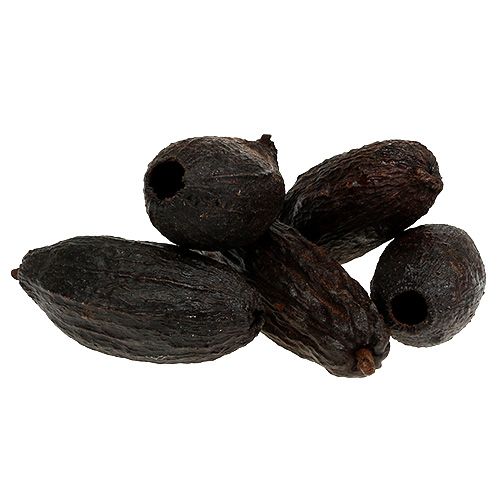 Floristik24 Kakaofrukt naturell 10-18cm 15 st