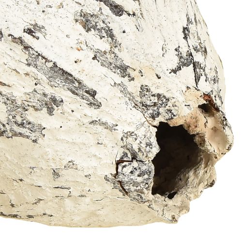 Artikel Kakaokapslar vitkalkade 15 st
