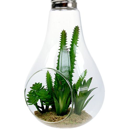 Artikel Kaktusar i glas för att hänga 21 cm