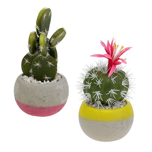 Floristik24 Kaktusar i grytmix H13cm 4st