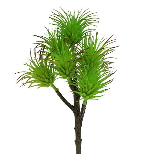 Floristik24 Kaktusgrenar 20cm ljusgrön 3st